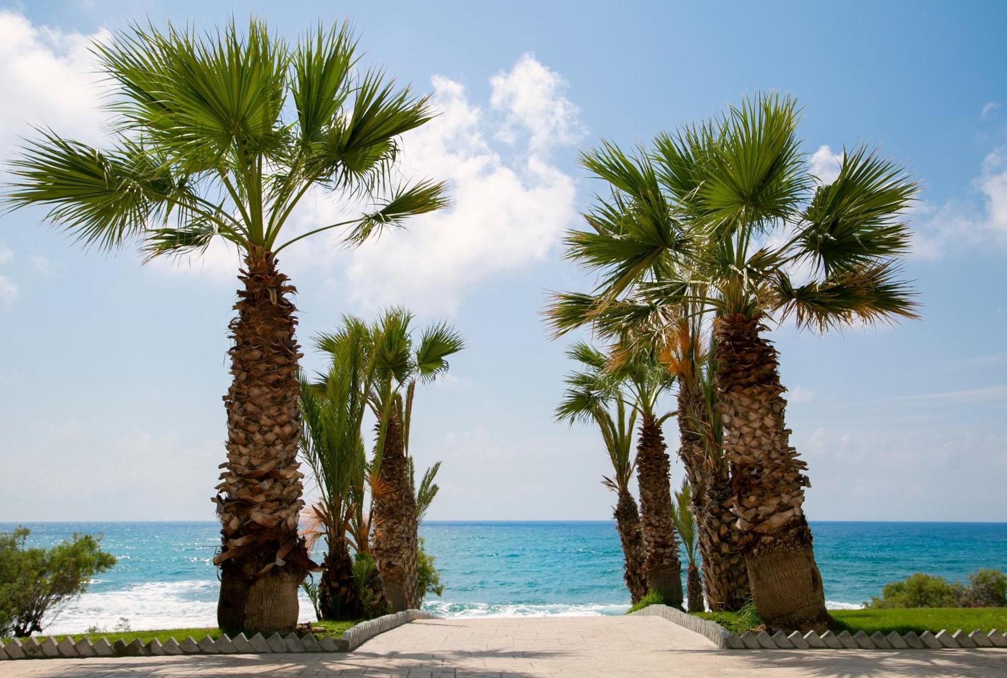 Hotel Louis Paphos Breeze Klorakas Esterno foto